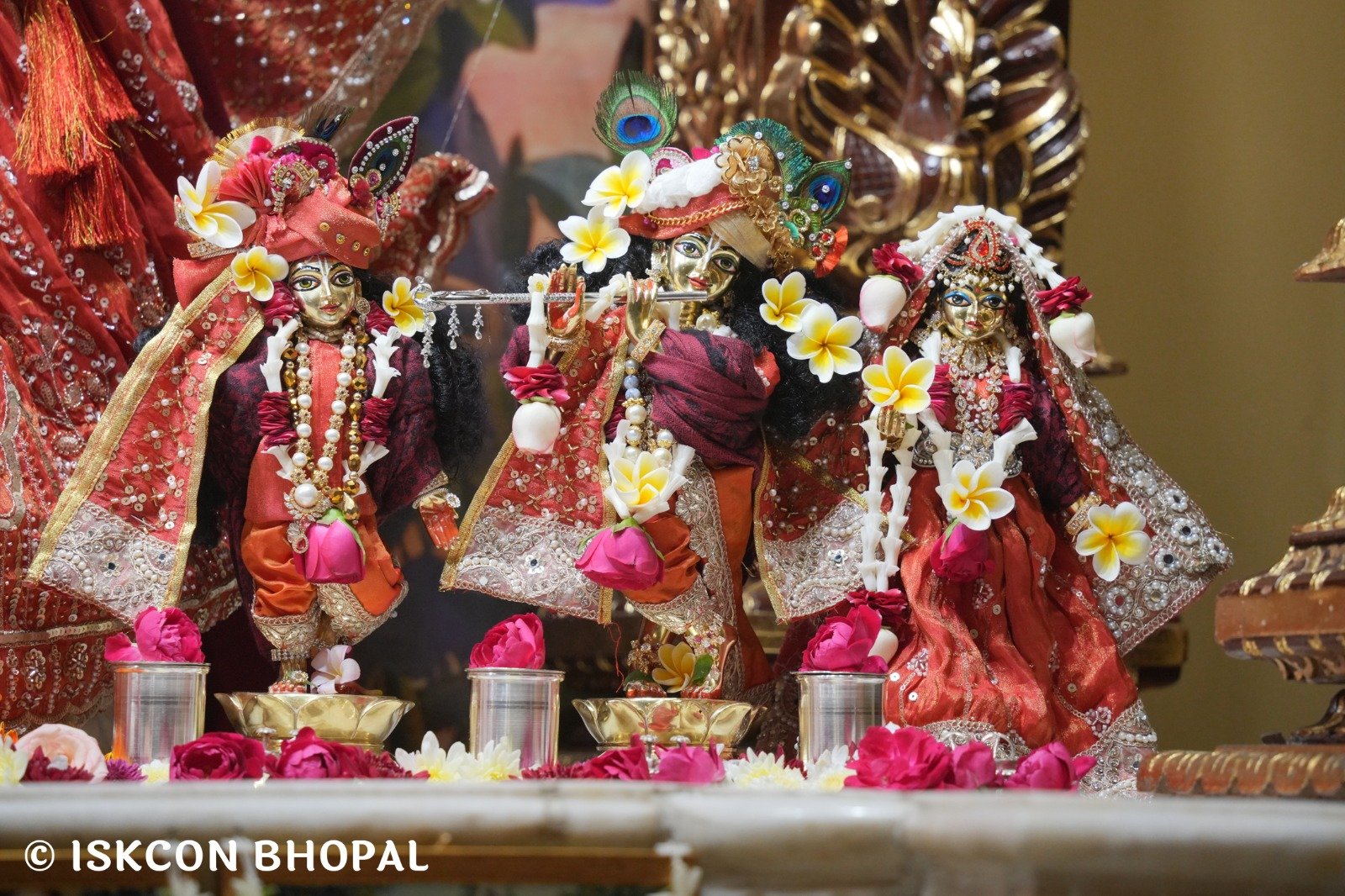 WhatsApp Image 2025-11-30 at 7.46.29 AM