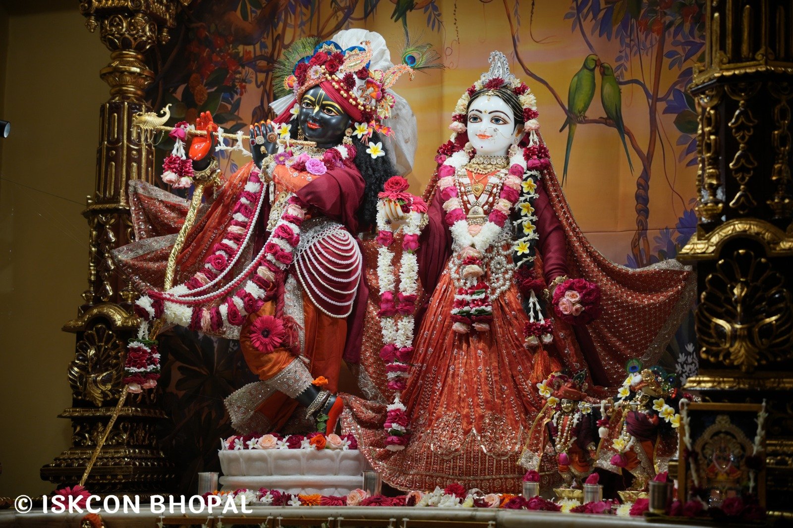 WhatsApp Image 2025-11-30 at 7.46.30 AM