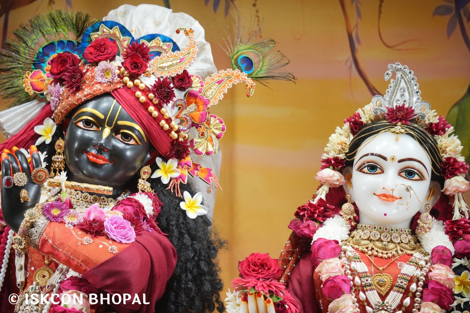 WhatsApp Image 2025-11-30 at 7.46.31 AM