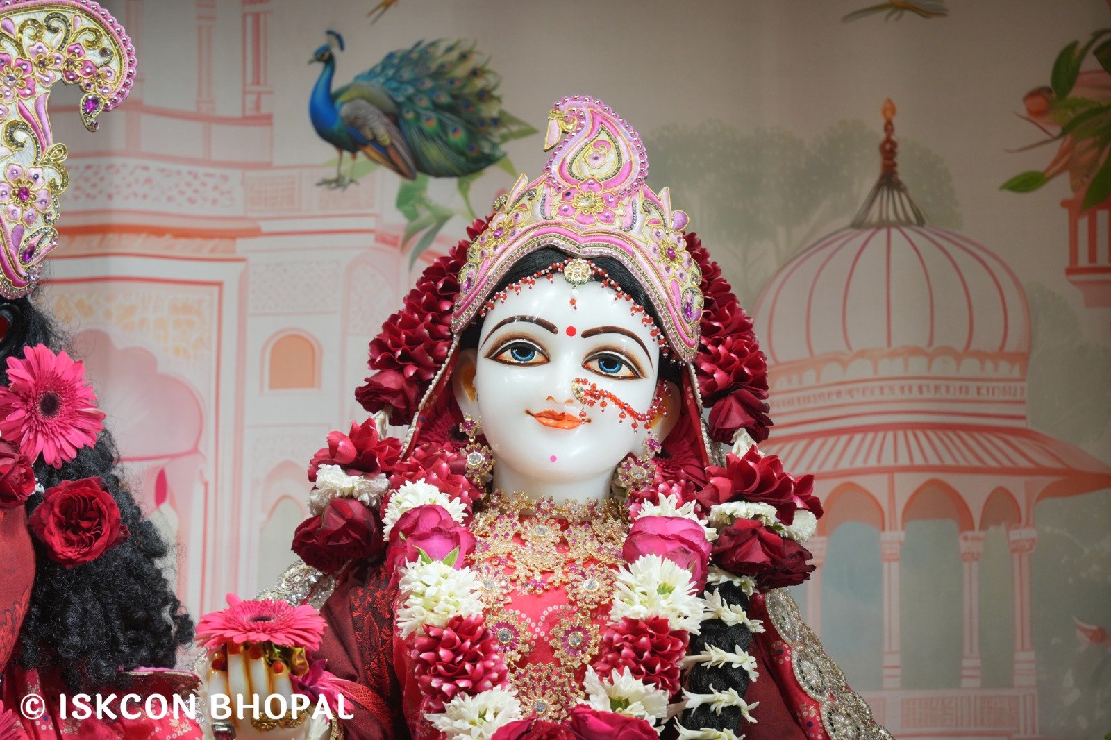 07c4f2a9-564f-45a8-adbf-af93b1aaf5f9