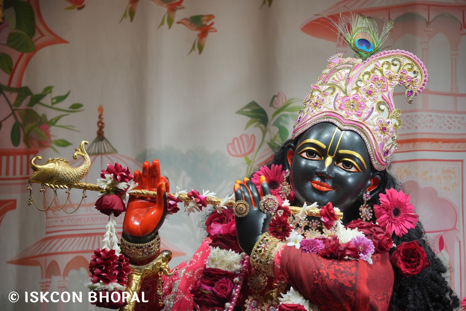 0e51da57-c38c-4560-853a-9f745939b00d