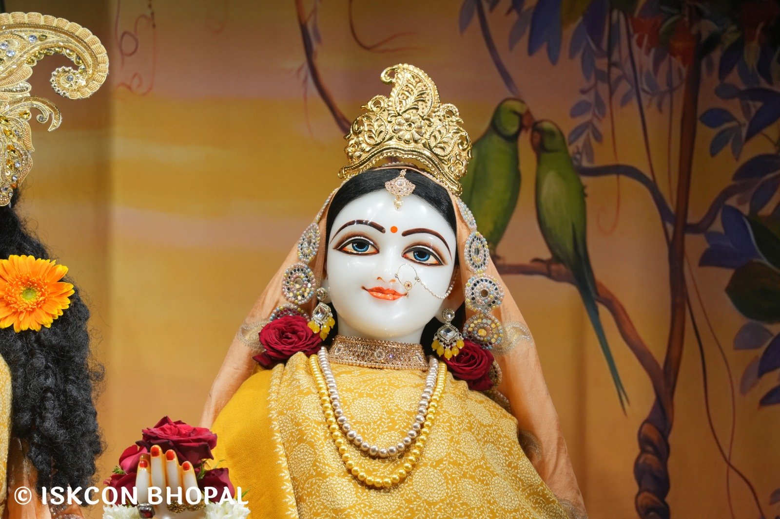 3b8c354f-600a-4411-9e77-38bc97cb6c86