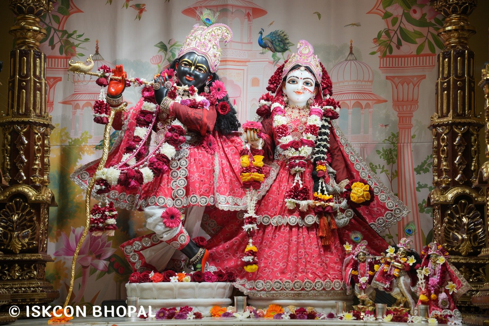 6aba4d3f-fe1f-43e1-aa1d-c45337858d81