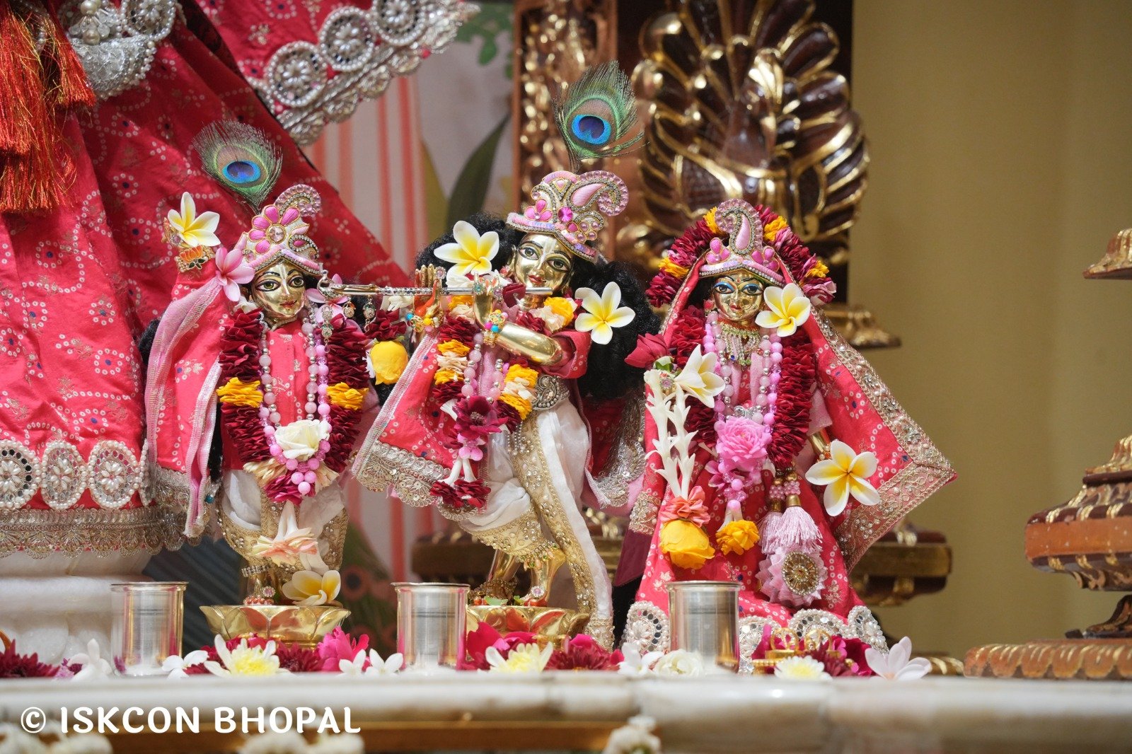 8b74d203-ba84-4e09-b7e3-bb47ba8f3860