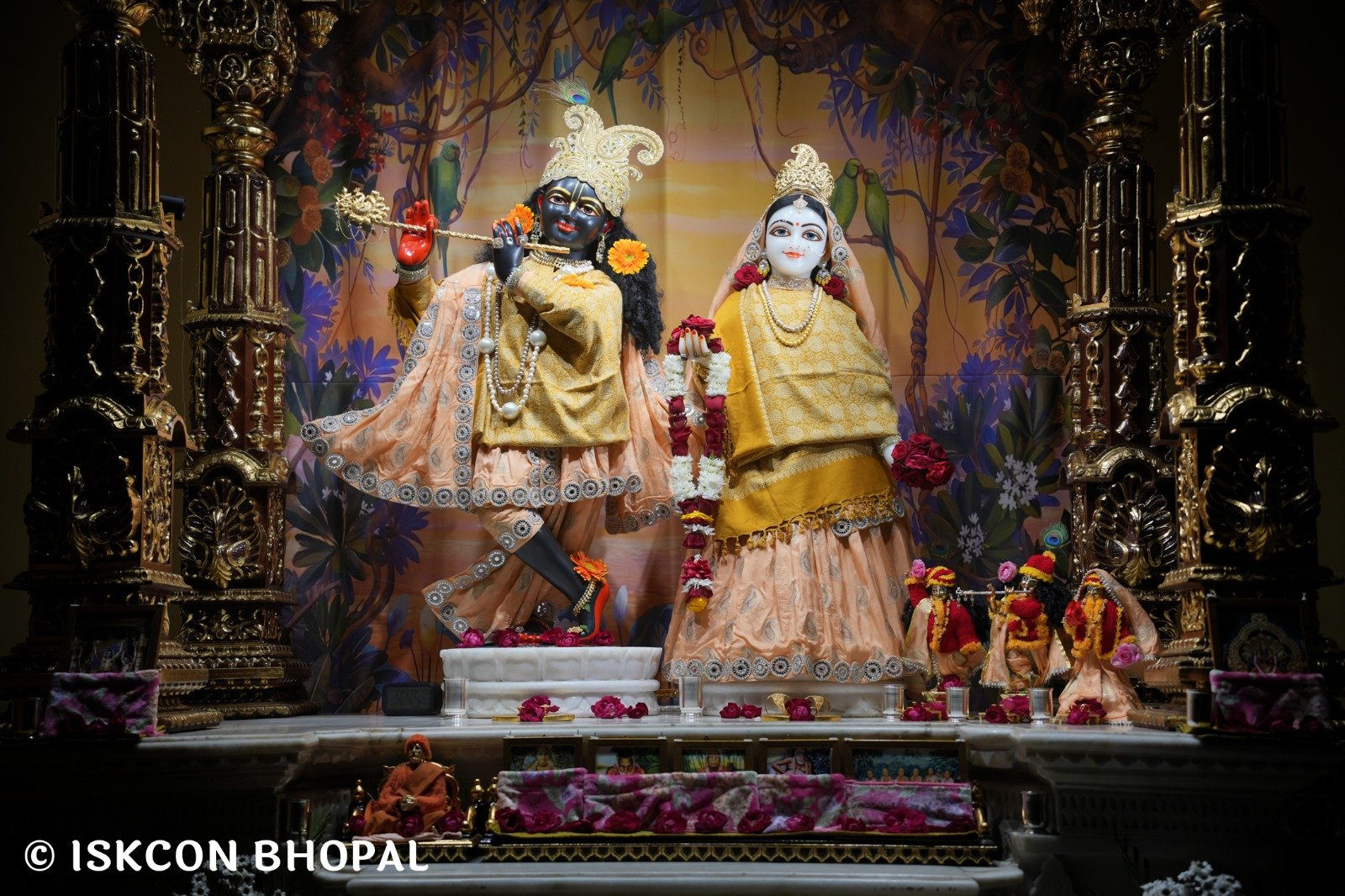 9d8cb41e-b36a-451d-aa06-d00c9774044b