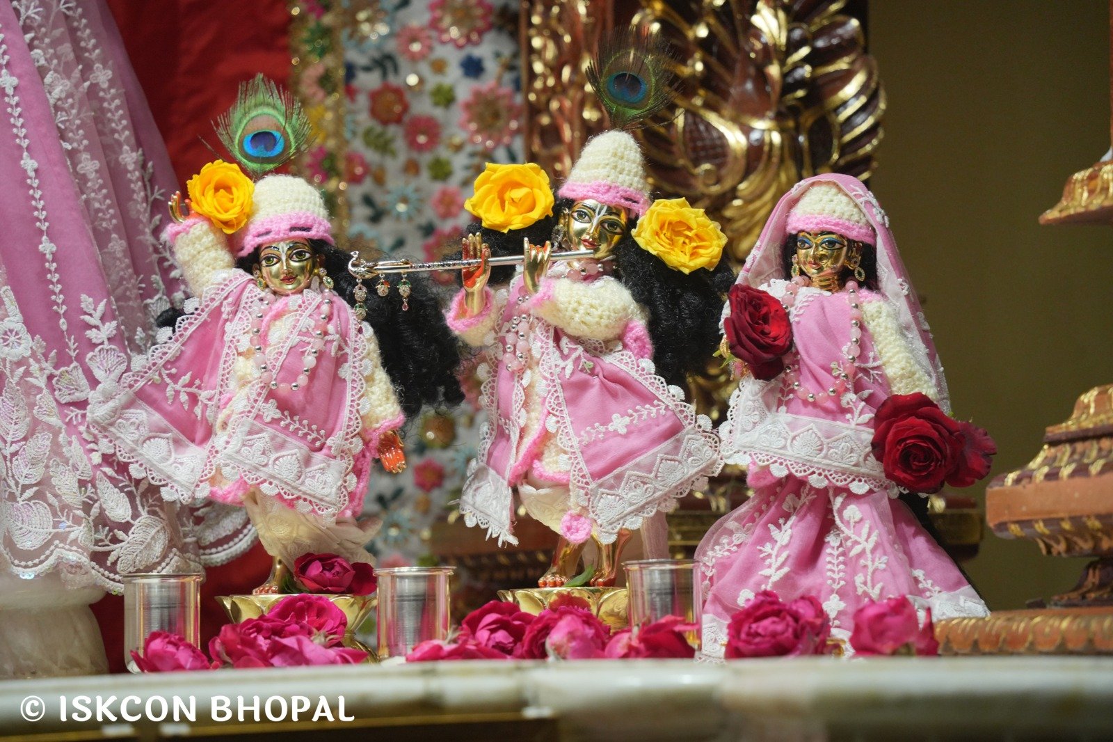 WhatsApp Image 2025-12-03 at 7.04.35 AM