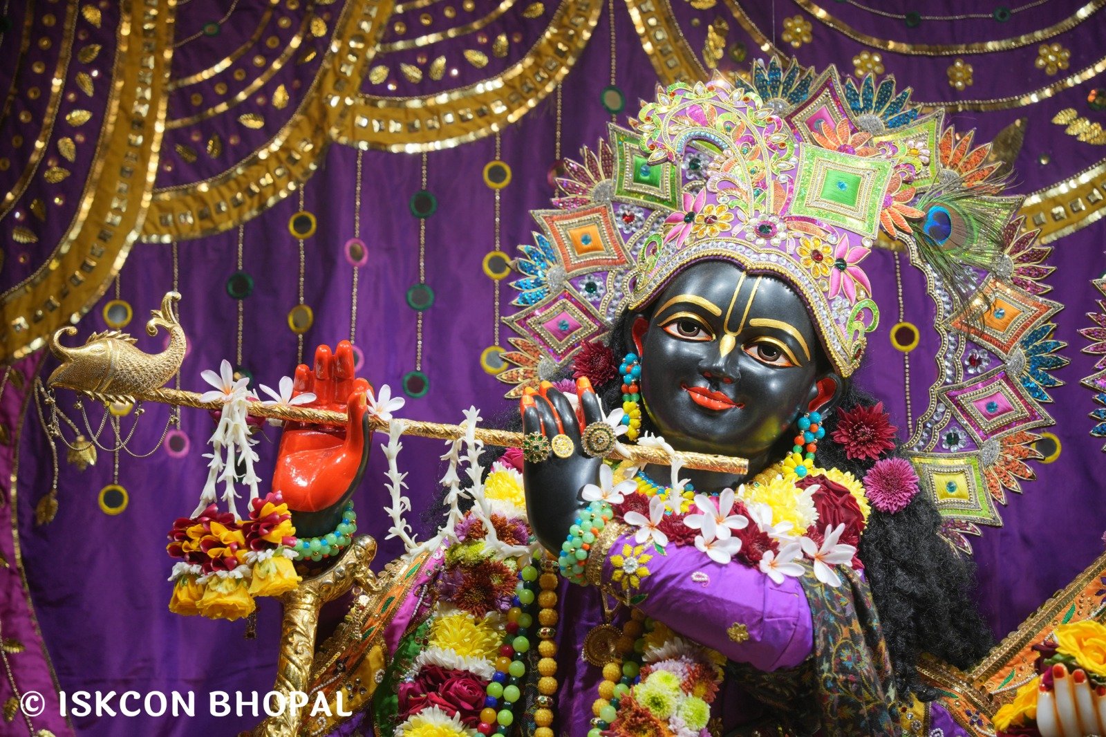 WhatsApp Image 2025-12-03 at 7.57.53 AM (3)