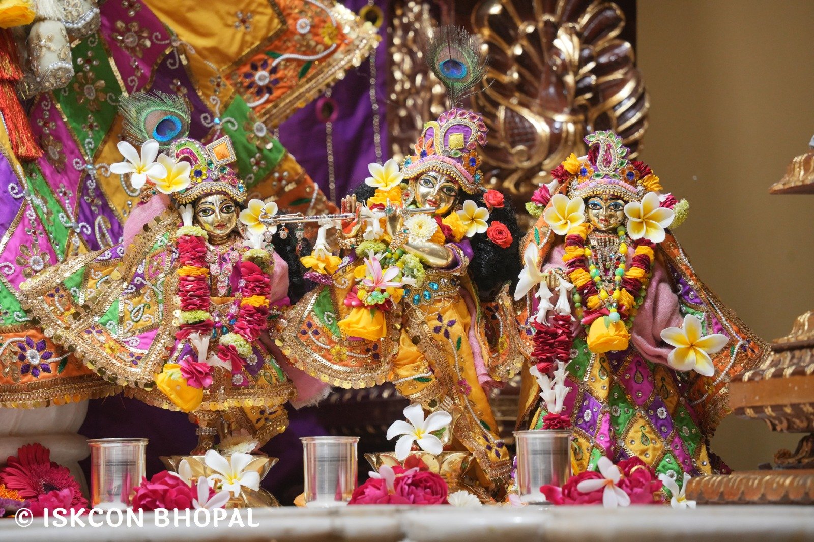 WhatsApp Image 2025-12-03 at 7.57.54 AM