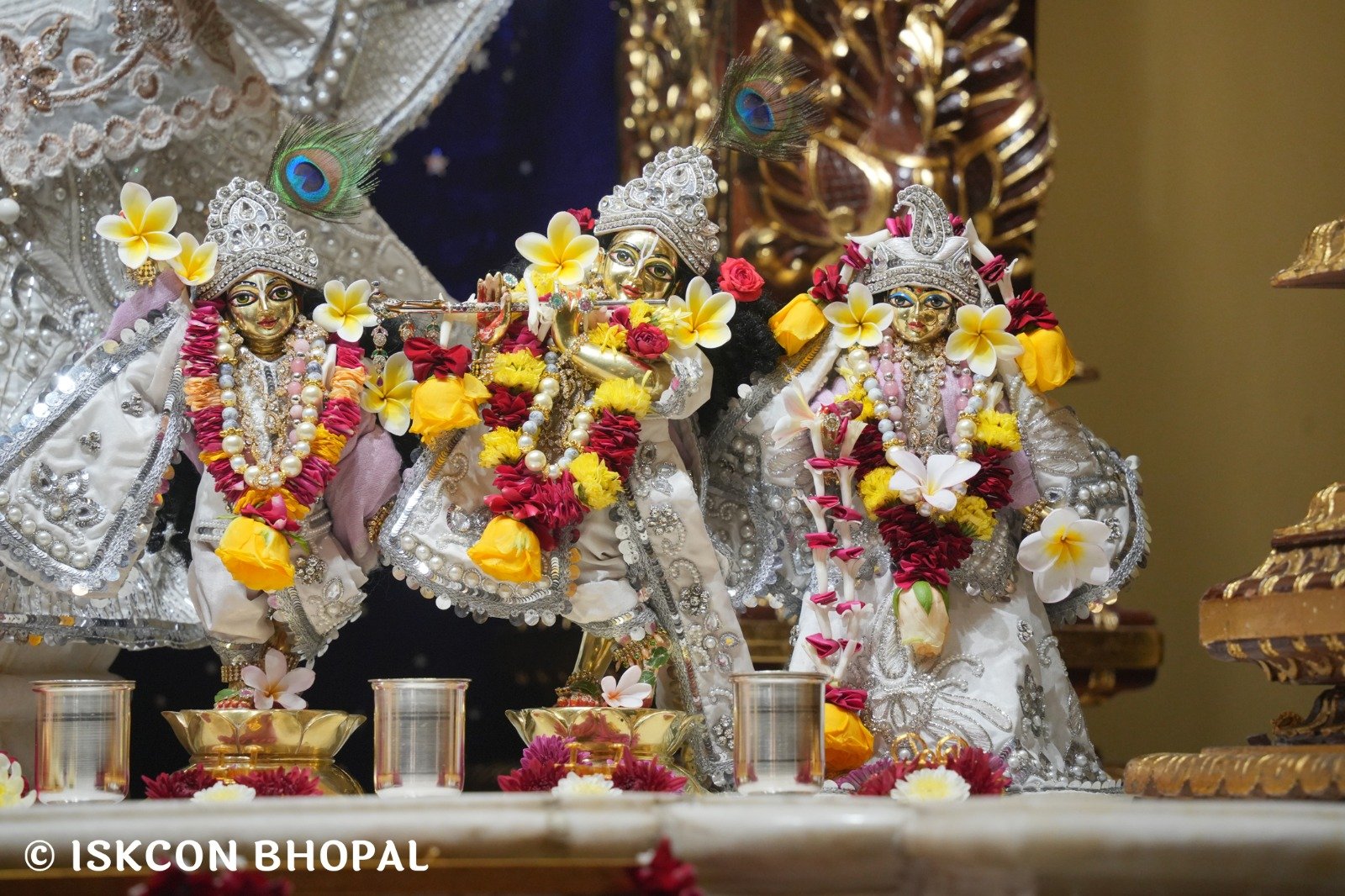 WhatsApp Image 2025-12-04 at 7.45.15 AM