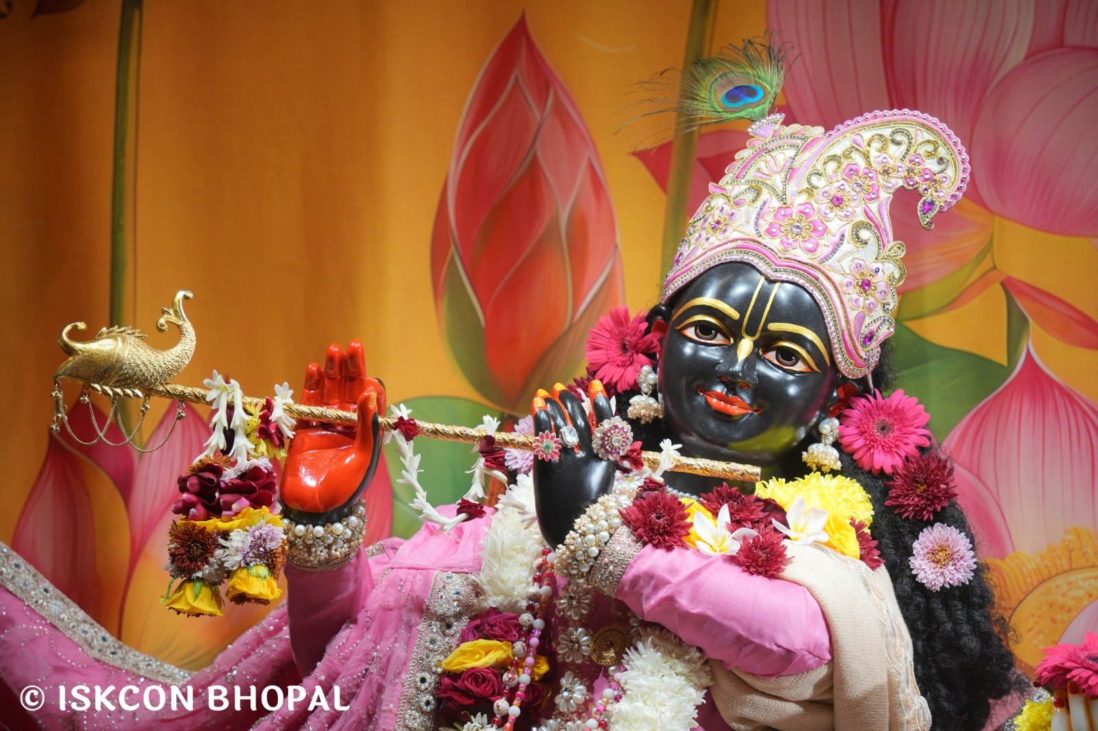 WhatsApp Image 2025-12-05 at 7.44.02 AM (2)