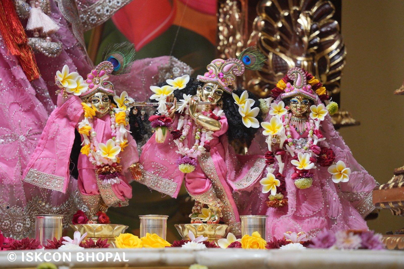 WhatsApp Image 2025-12-05 at 7.44.03 AM (1)