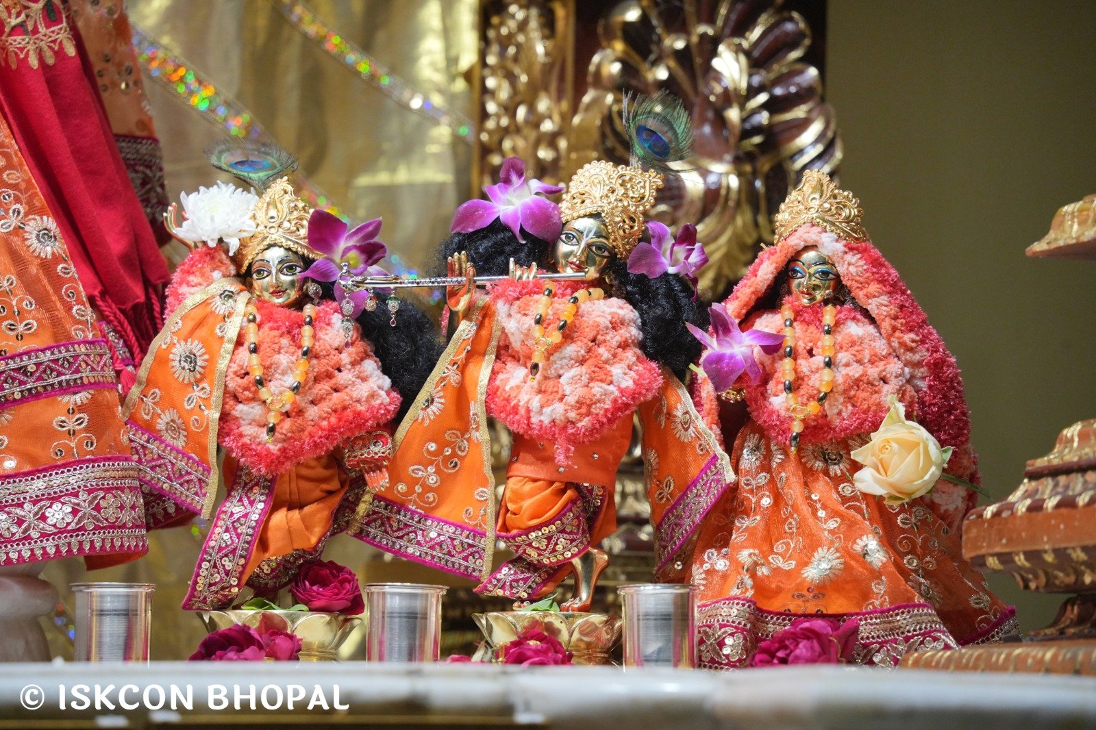 WhatsApp Image 2025-12-08 at 6.59.50 AM