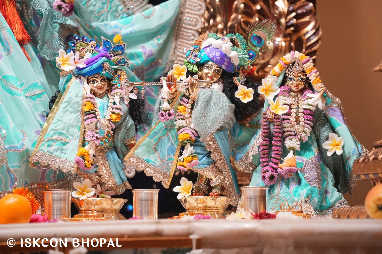 WhatsApp Image 2025-12-08 at 7.47.01 AM (2)