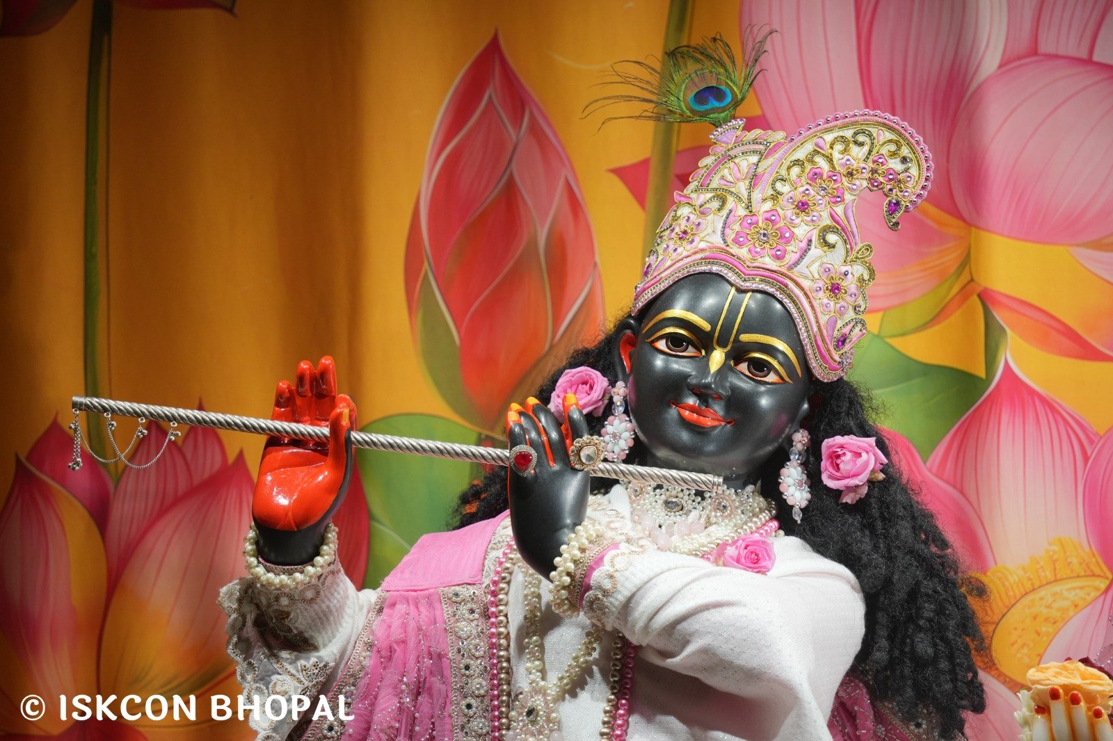 WhatsApp Image 2025-12-17 at 7.09.37 AM