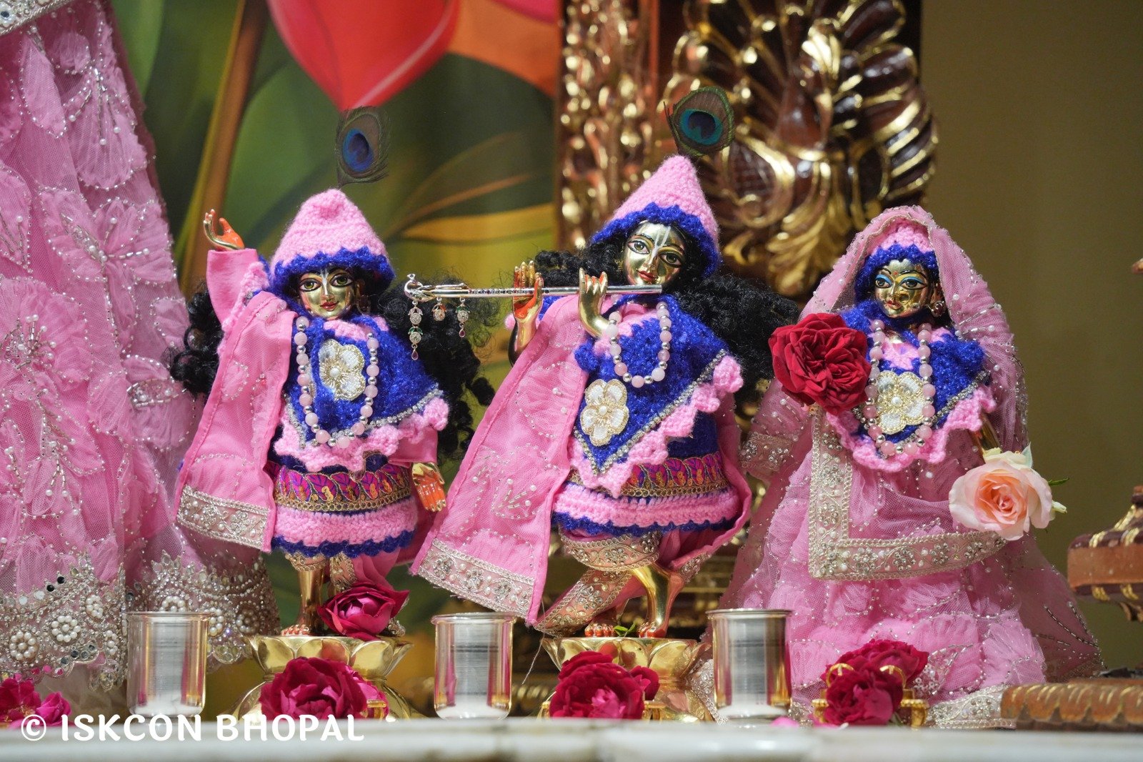 WhatsApp Image 2025-12-17 at 7.09.38 AM