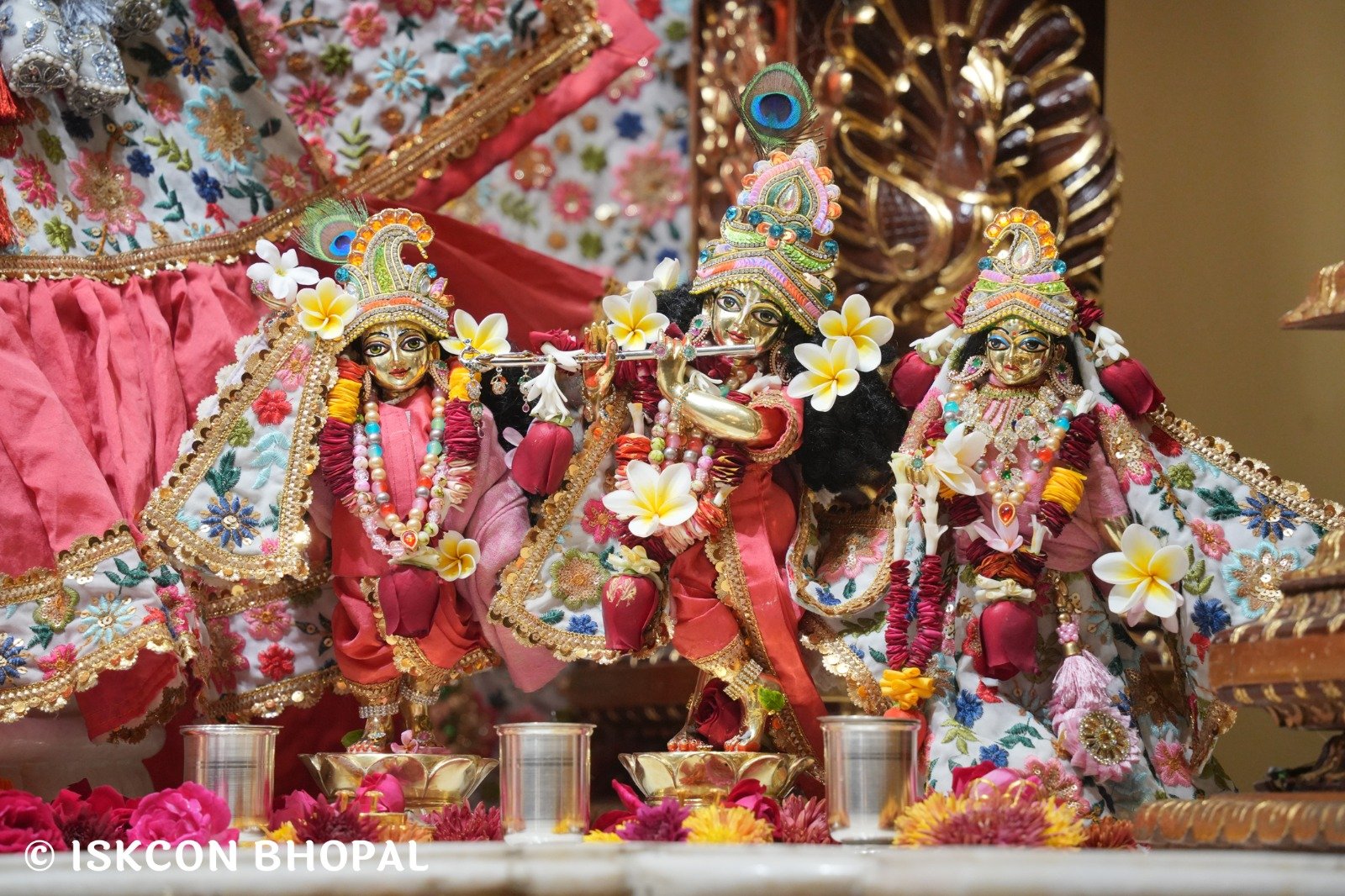 WhatsApp Image 2025-12-18 at 7.58.24 AM