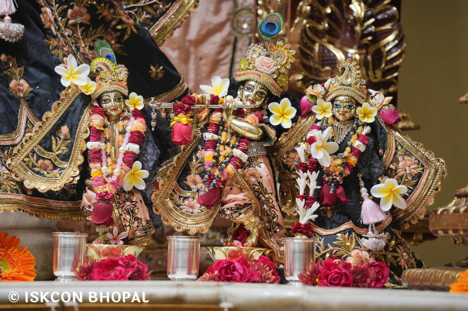 WhatsApp Image 2025-12-19 at 7.51.20 AM (1)