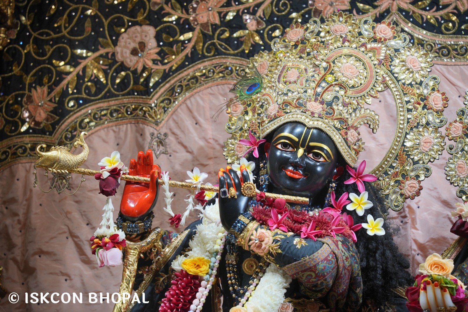 WhatsApp Image 2025-12-19 at 7.51.21 AM