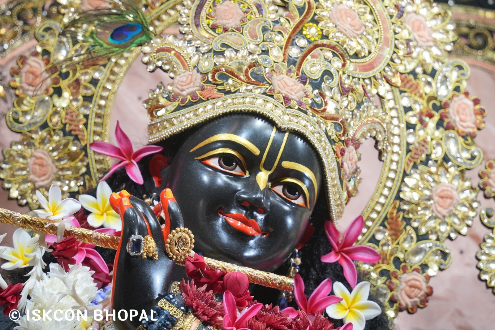 WhatsApp Image 2025-12-19 at 7.51.22 AM (1)