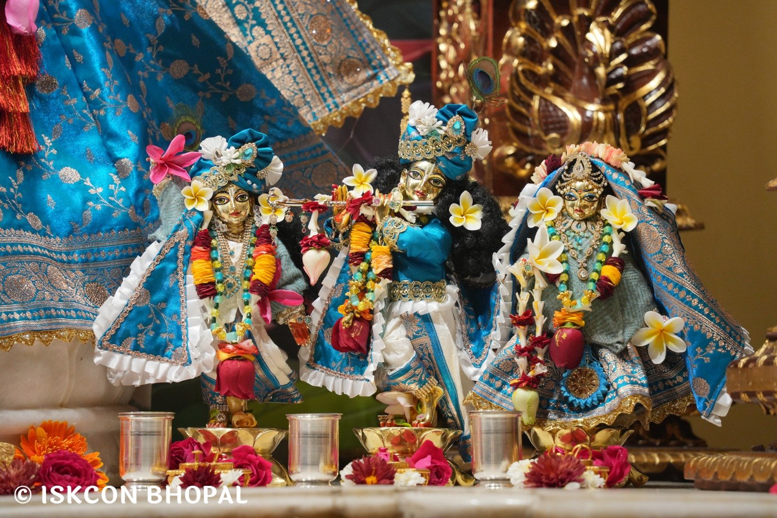 WhatsApp Image 2025-12-20 at 7.43.31 AM (3)