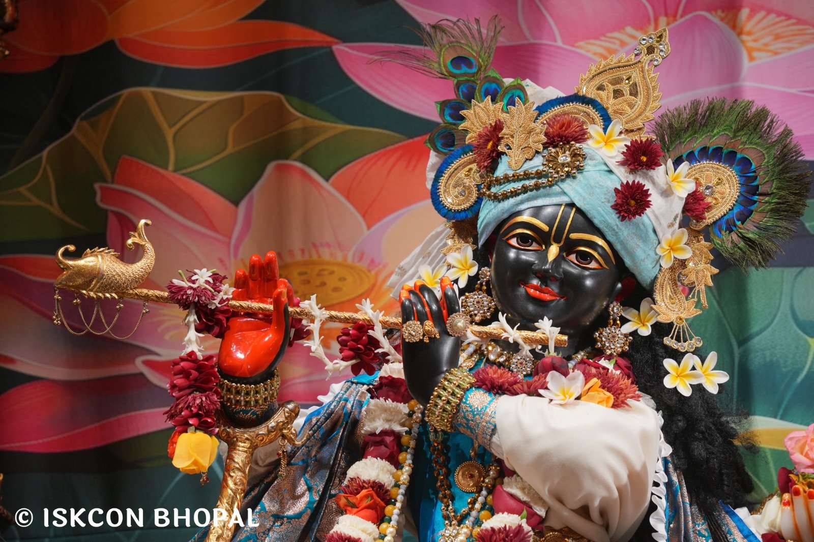 WhatsApp Image 2025-12-20 at 7.43.32 AM (2)