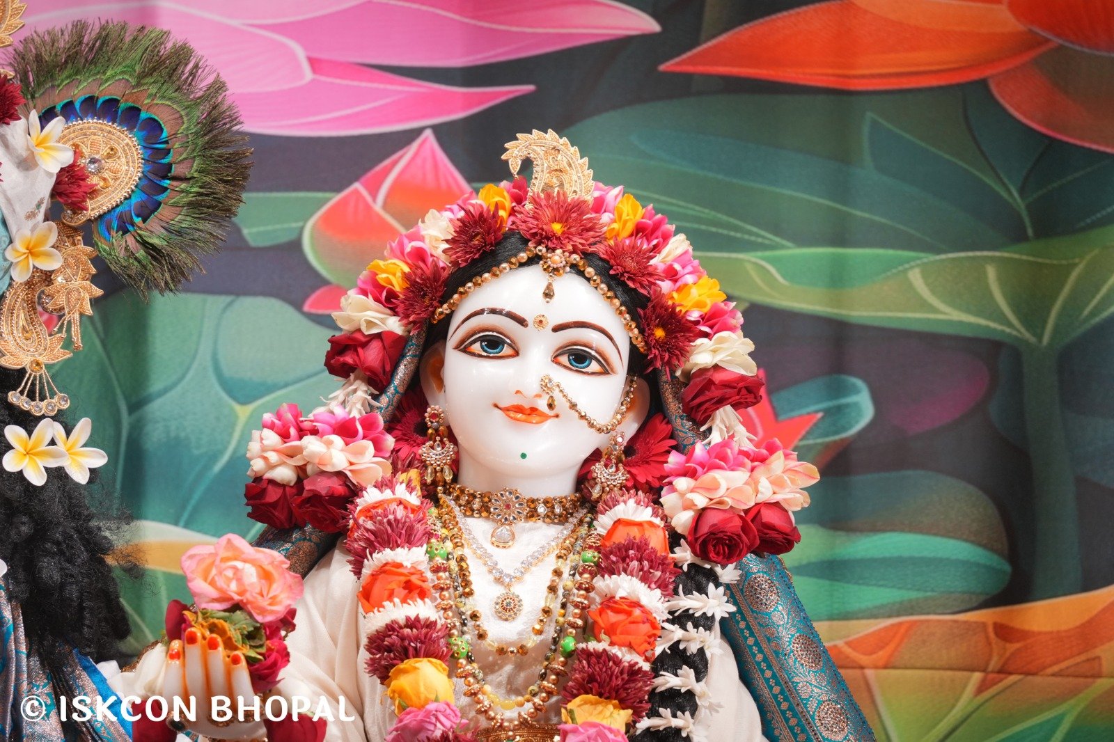 WhatsApp Image 2025-12-20 at 7.43.32 AM