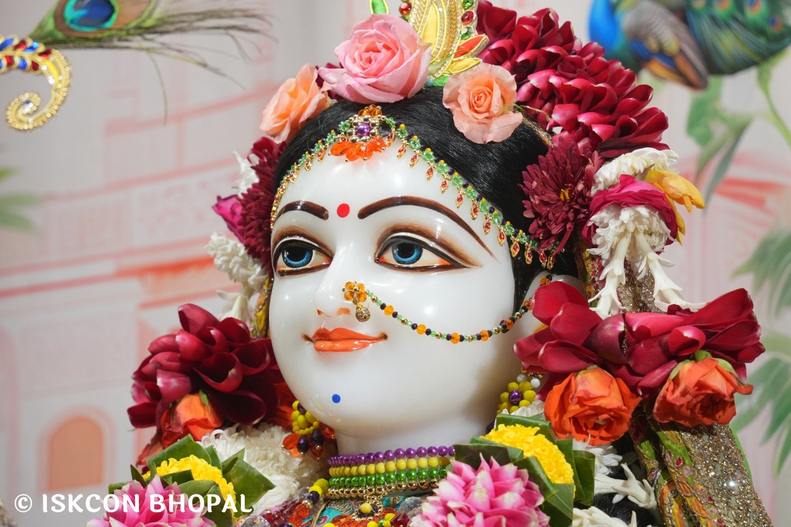 WhatsApp Image 2025-12-21 at 7.55.29 AM (1)