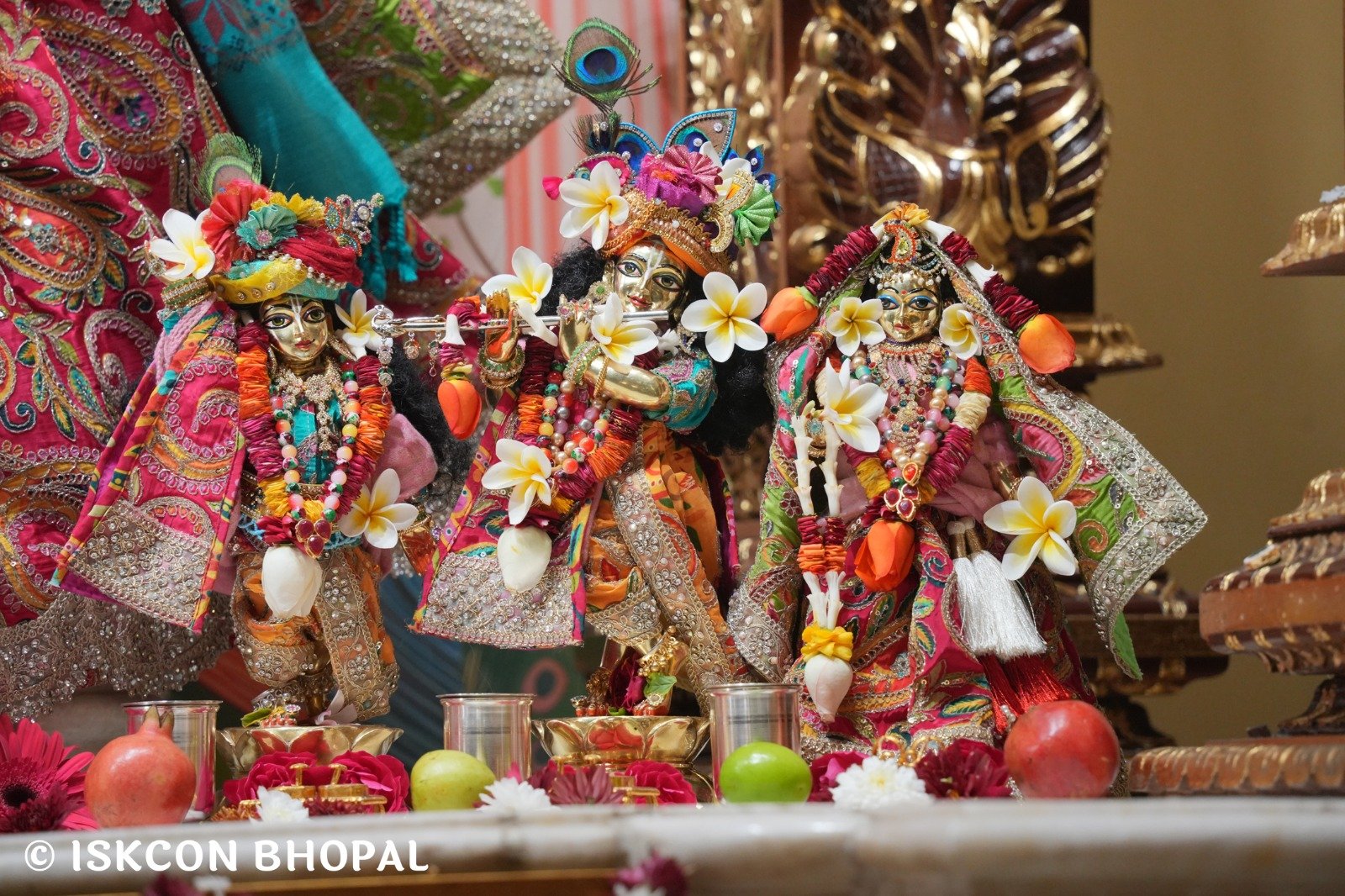 WhatsApp Image 2025-12-21 at 7.55.31 AM