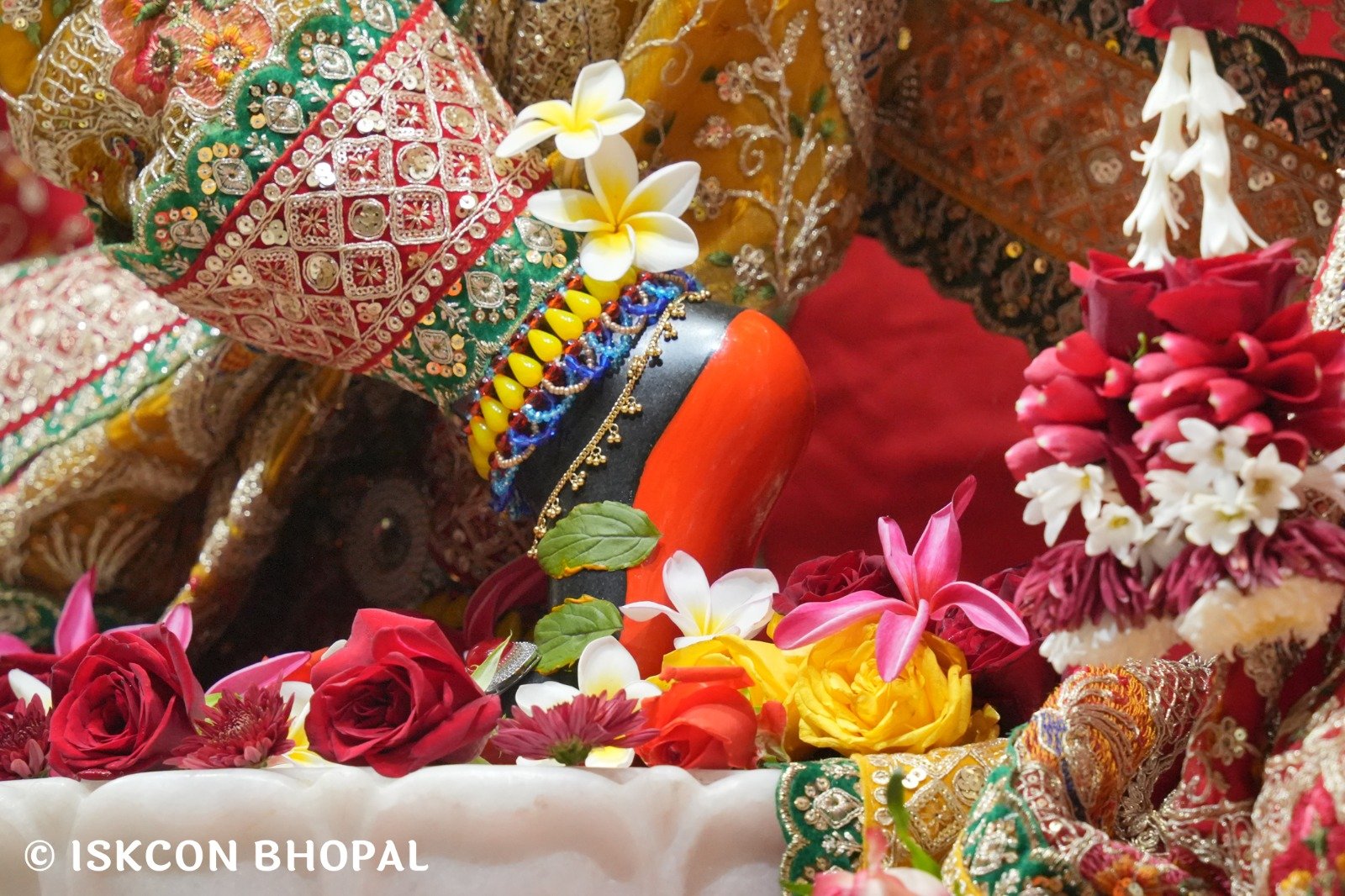 WhatsApp Image 2025-12-22 at 7.42.47 AM