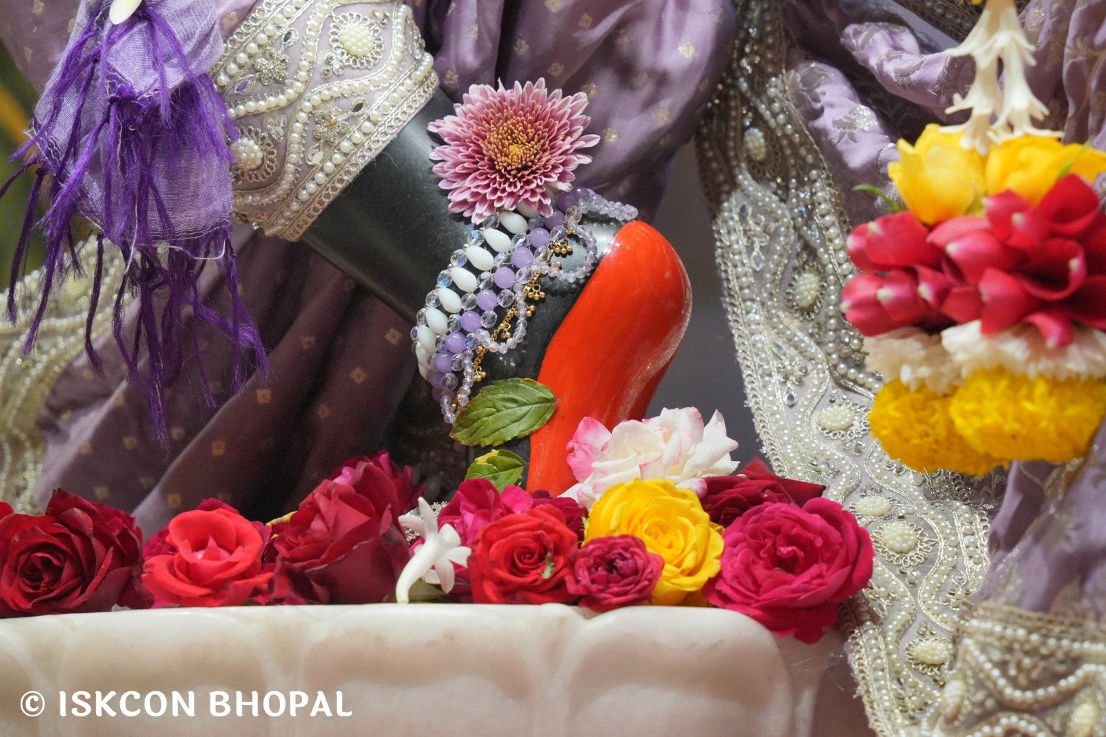 WhatsApp Image 2025-12-23 at 7.47.38 AM