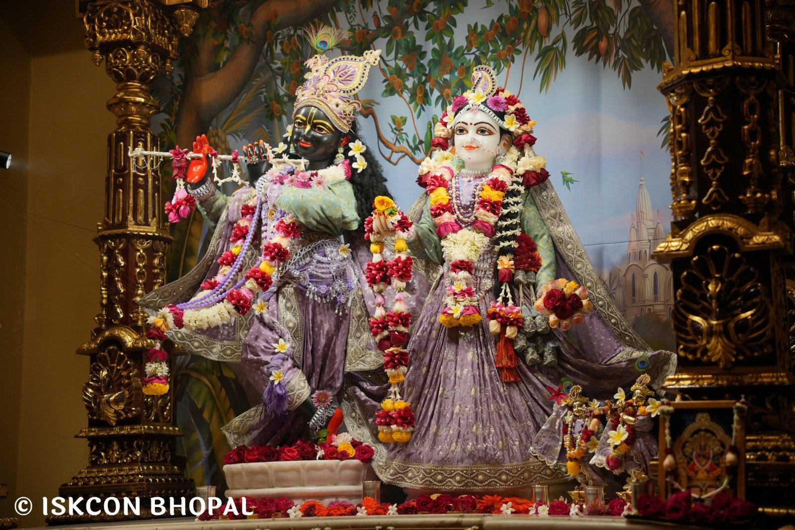 WhatsApp Image 2025-12-23 at 7.47.39 AM (1)