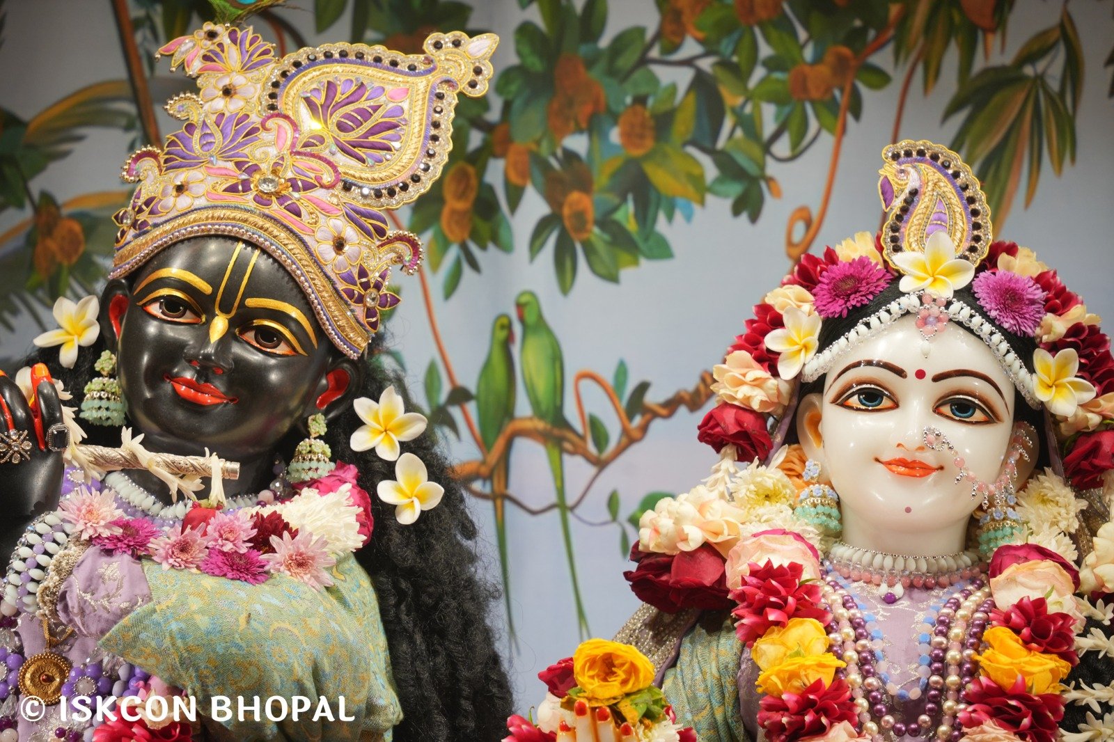 WhatsApp Image 2025-12-23 at 7.47.40 AM (1)