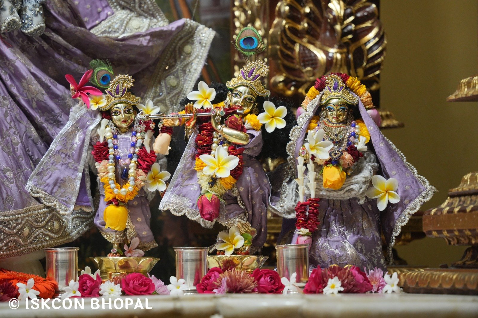 WhatsApp Image 2025-12-23 at 7.47.40 AM