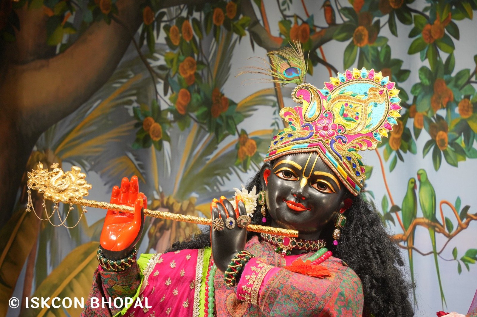 WhatsApp Image 2025-12-24 at 7.13.40 AM (1)