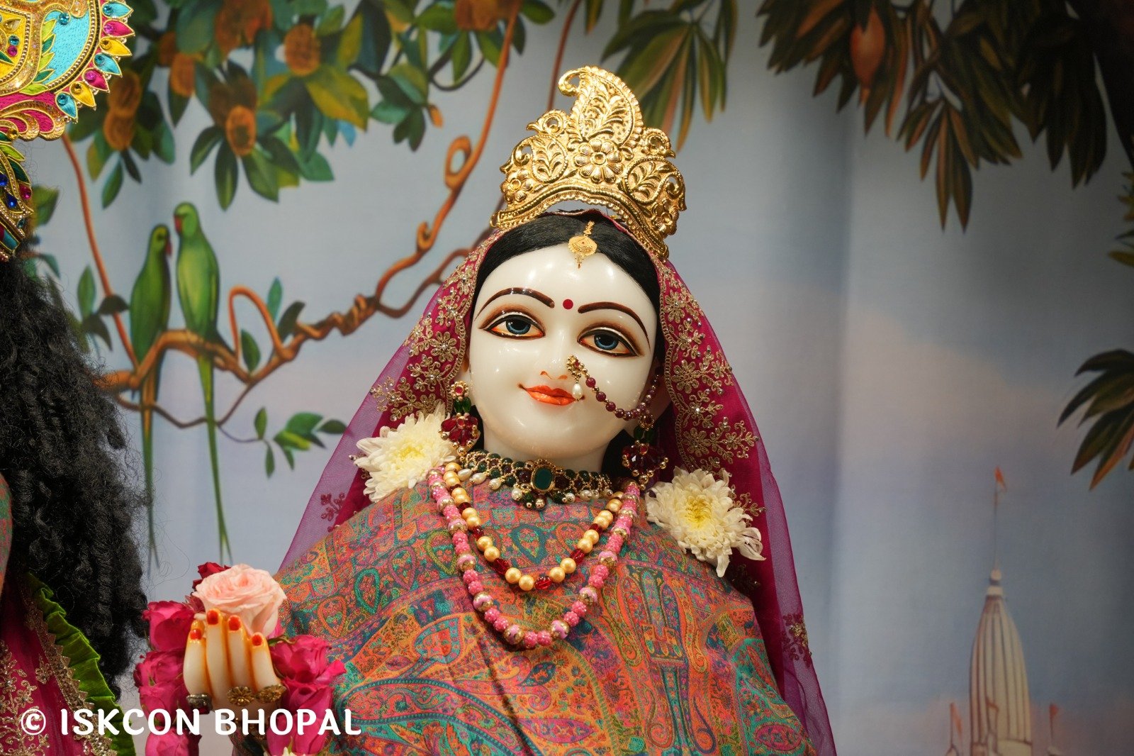 WhatsApp Image 2025-12-24 at 7.13.40 AM (2)