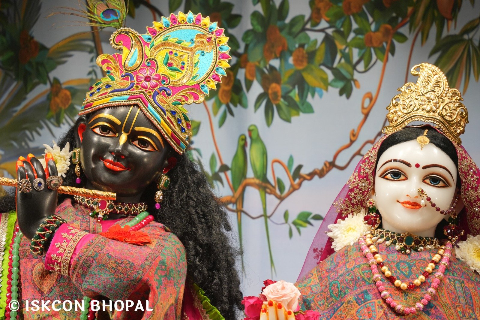 WhatsApp Image 2025-12-24 at 7.13.40 AM