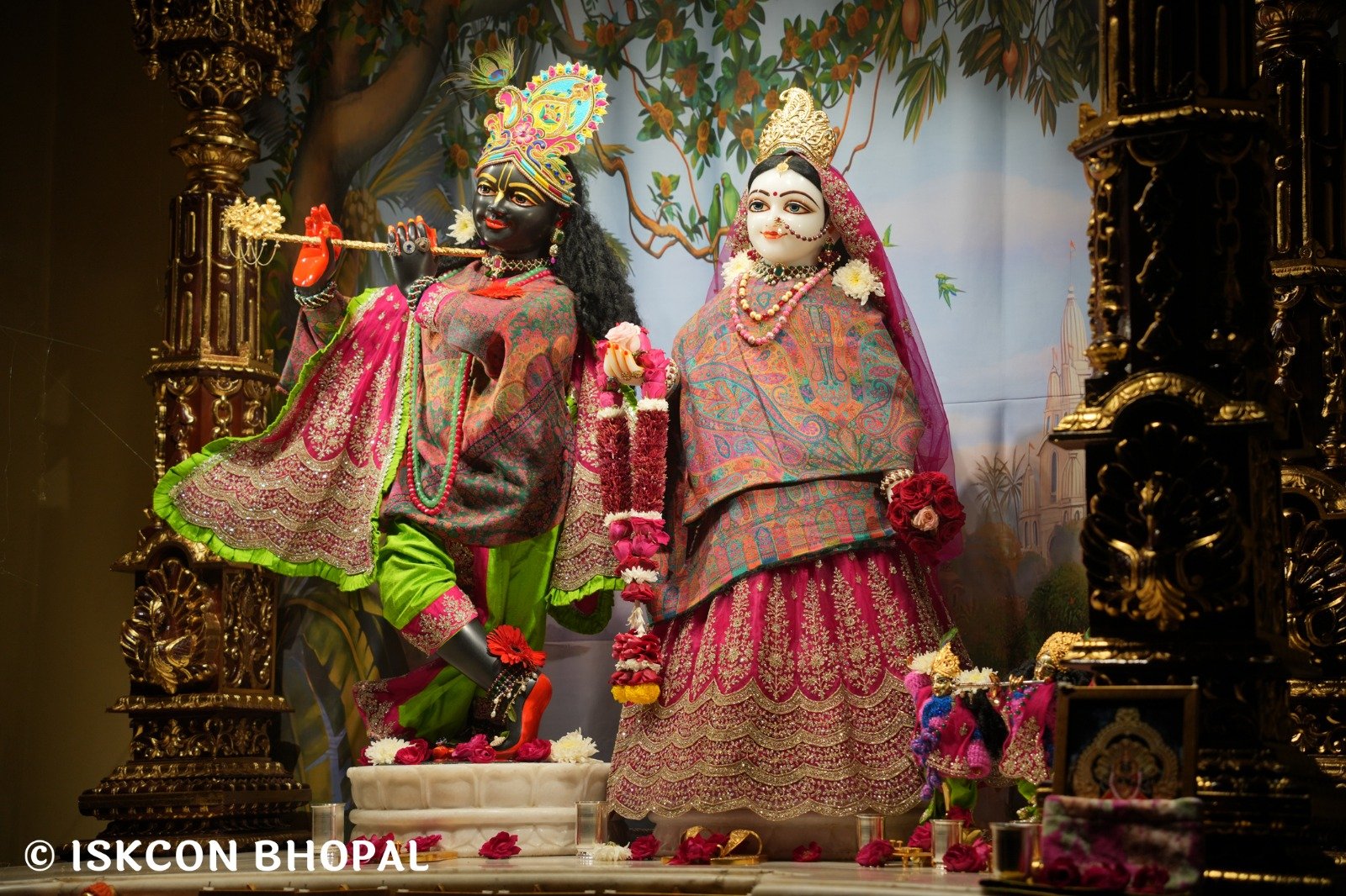 WhatsApp Image 2025-12-24 at 7.13.42 AM