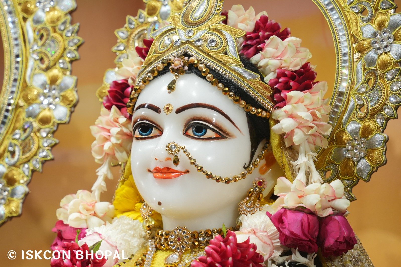 WhatsApp Image 2025-12-24 at 8.07.08 AM (4)