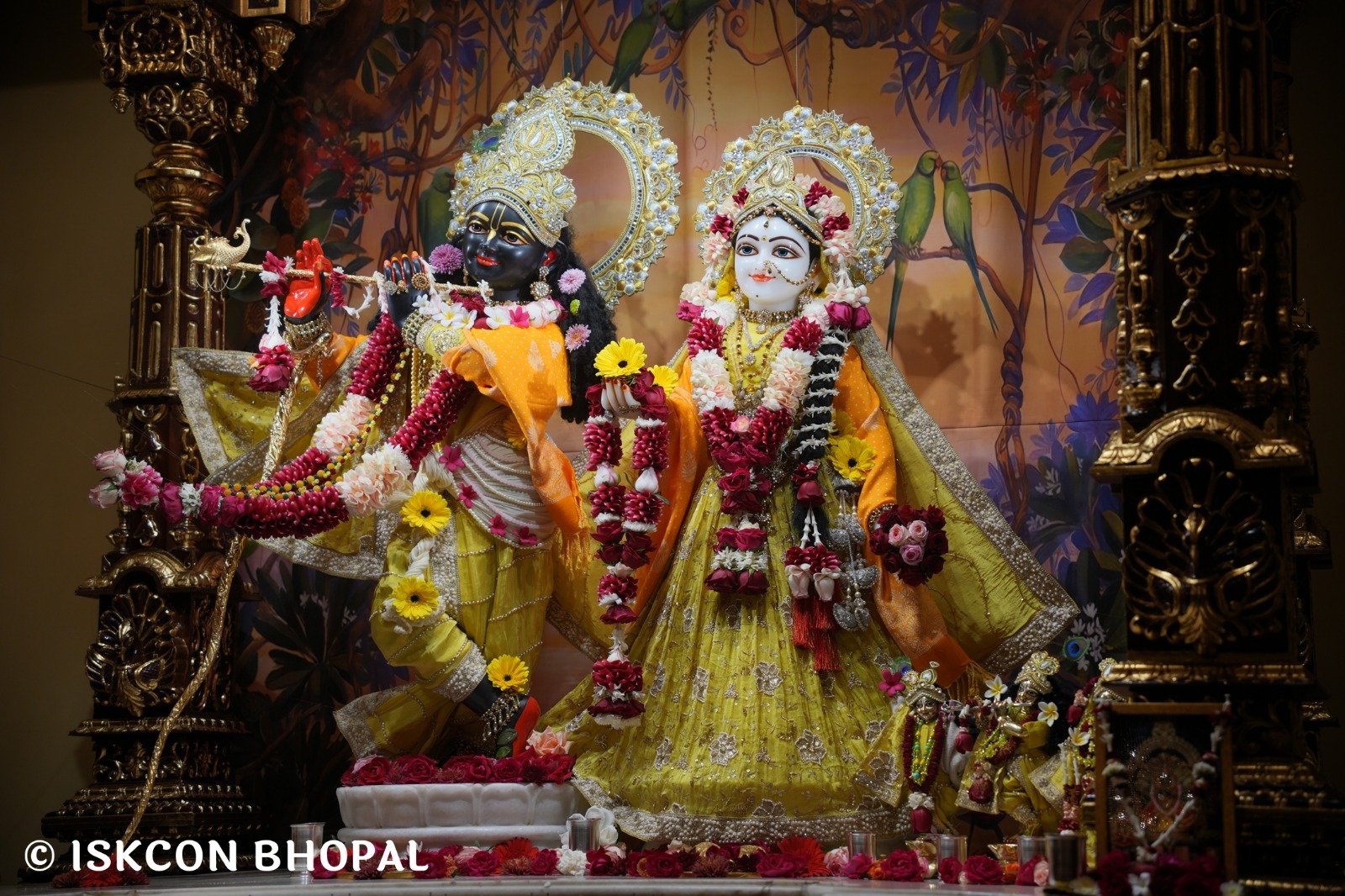 WhatsApp Image 2025-12-24 at 8.07.08 AM (5)