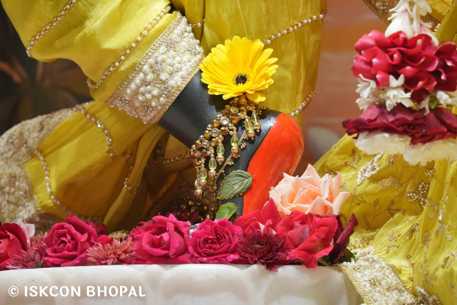 WhatsApp Image 2025-12-24 at 8.07.08 AM