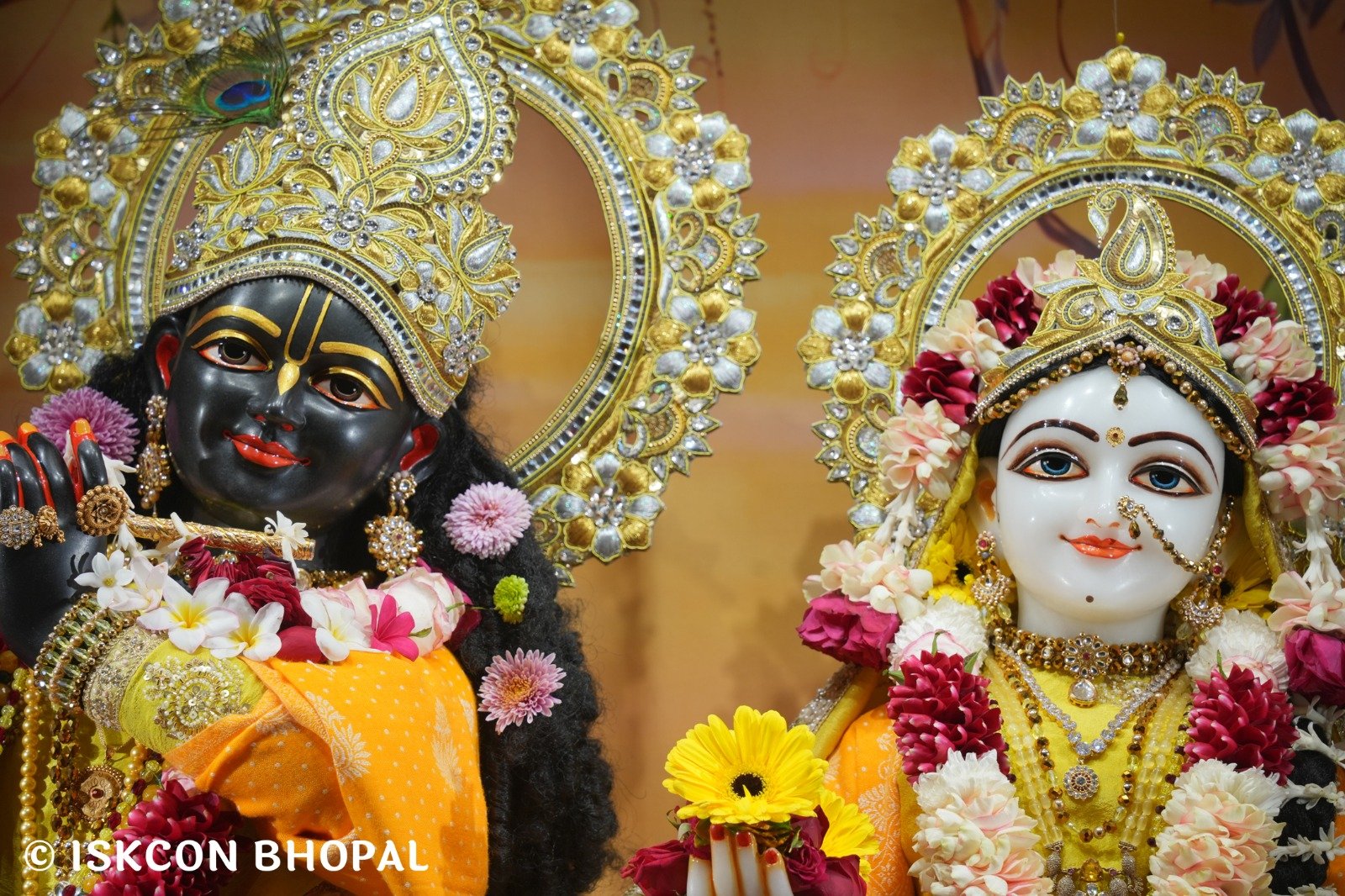 WhatsApp Image 2025-12-24 at 8.07.09 AM (1)