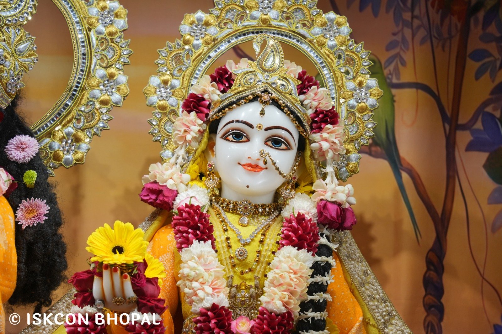 WhatsApp Image 2025-12-24 at 8.07.09 AM (2)