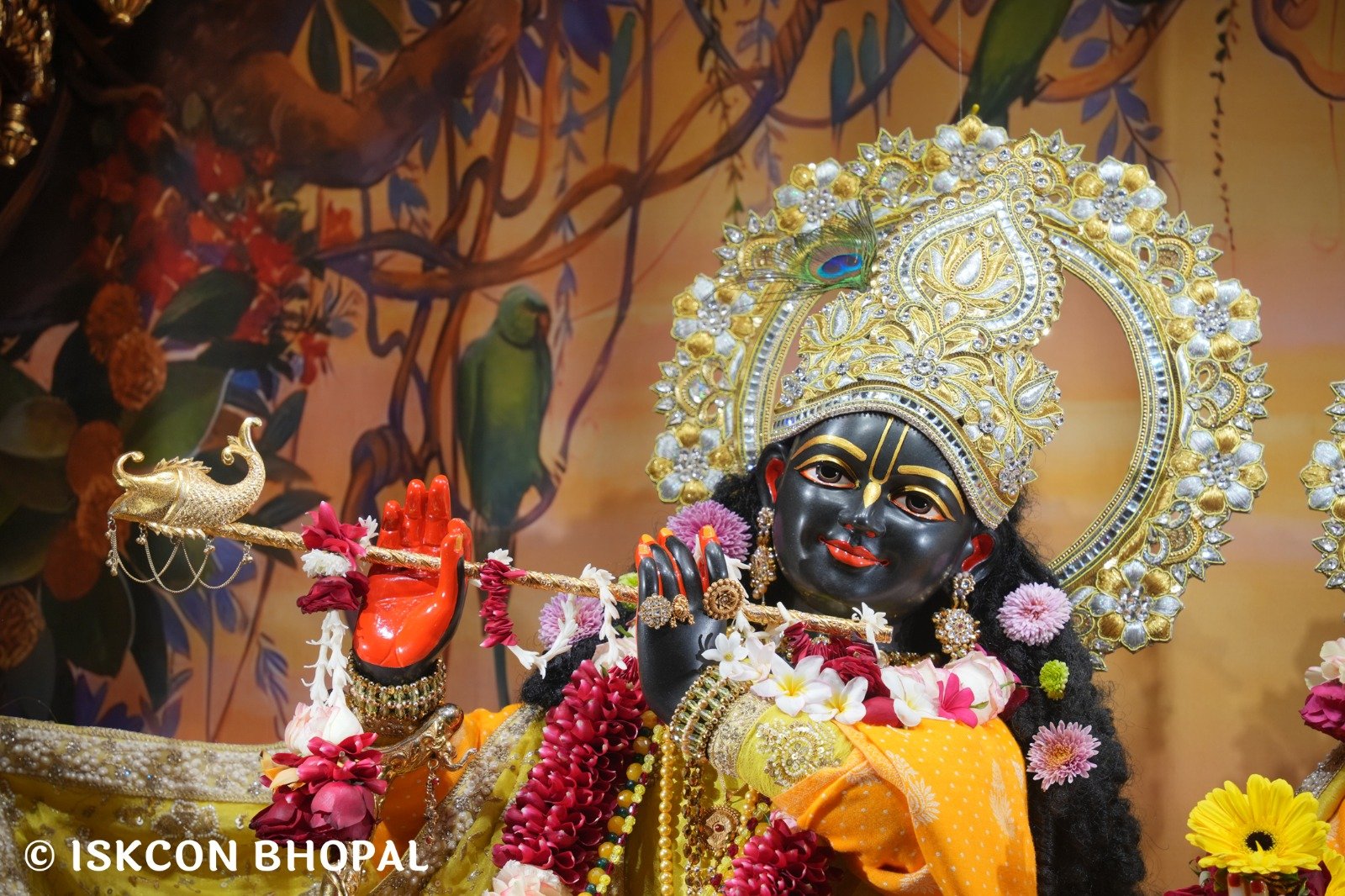 WhatsApp Image 2025-12-24 at 8.07.10 AM