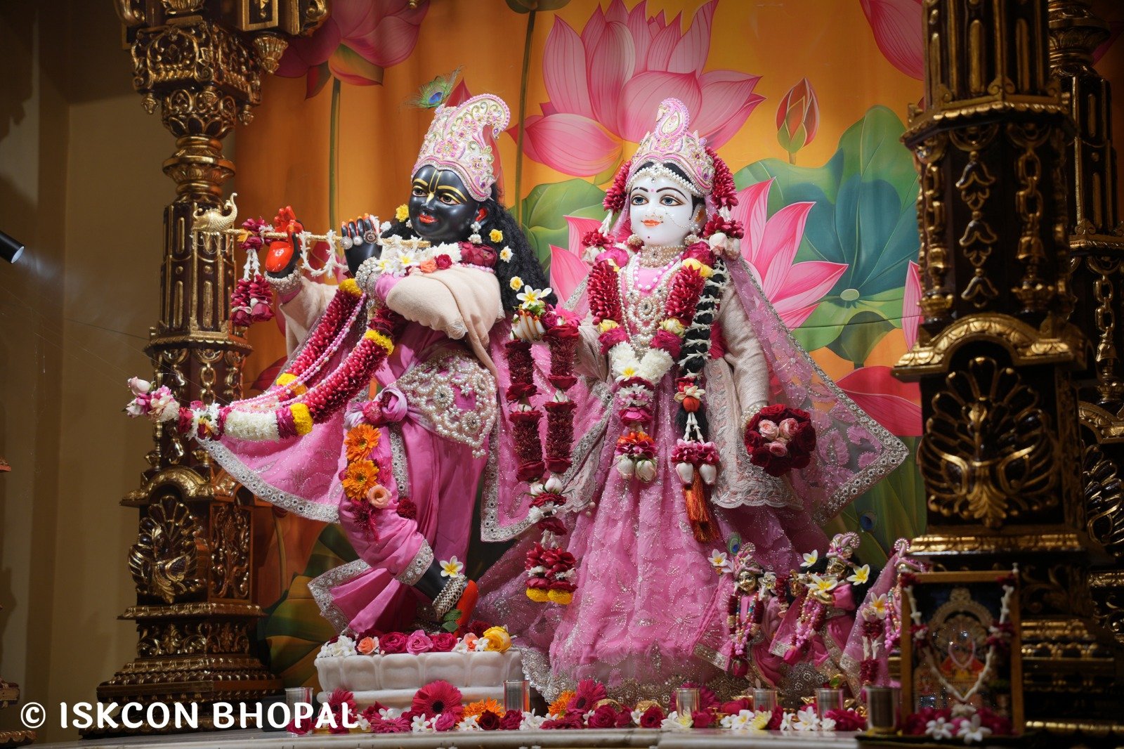 WhatsApp Image 2025-12-25 at 12.20.56 PM (1)