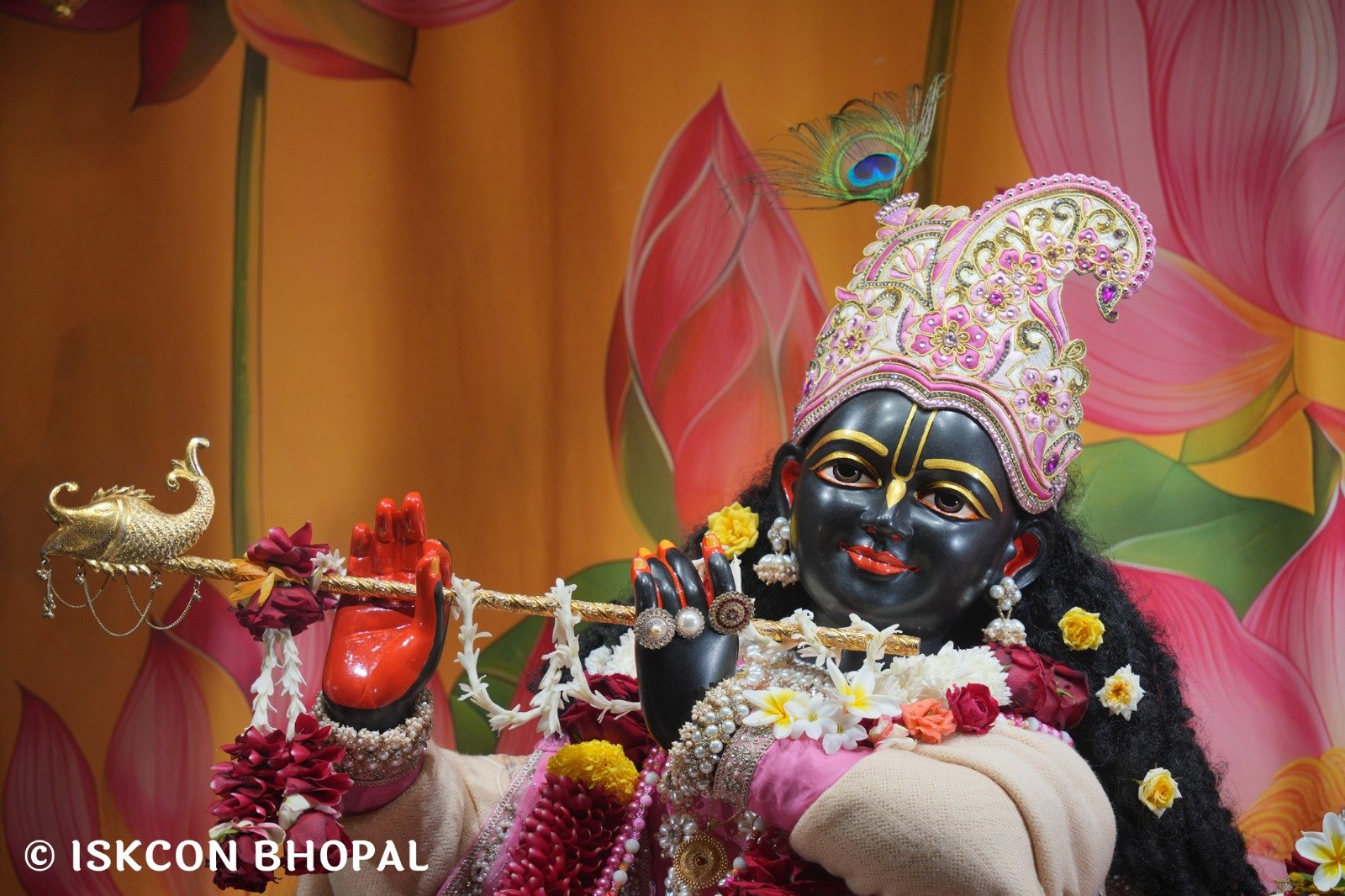 WhatsApp Image 2025-12-25 at 12.20.57 PM (1)