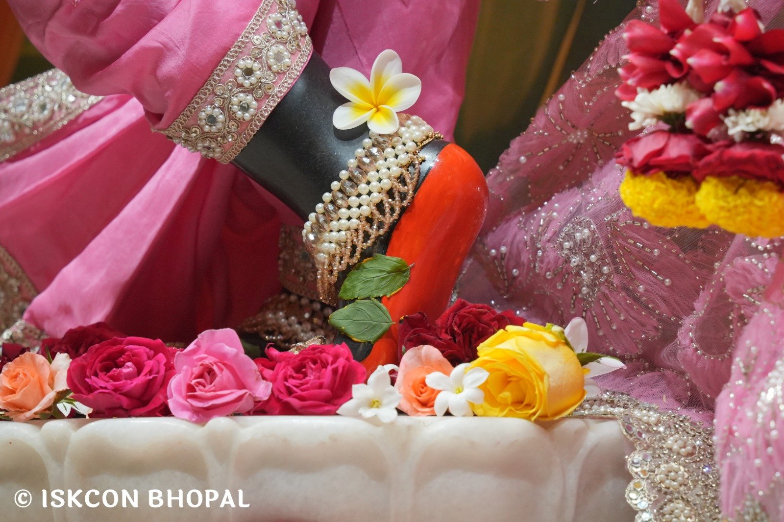 WhatsApp Image 2025-12-25 at 12.20.57 PM (2)