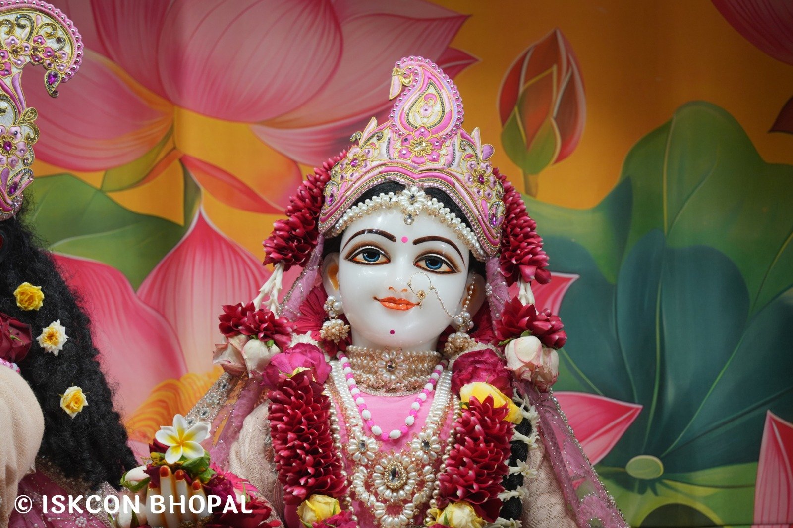 WhatsApp Image 2025-12-25 at 12.20.57 PM (3)