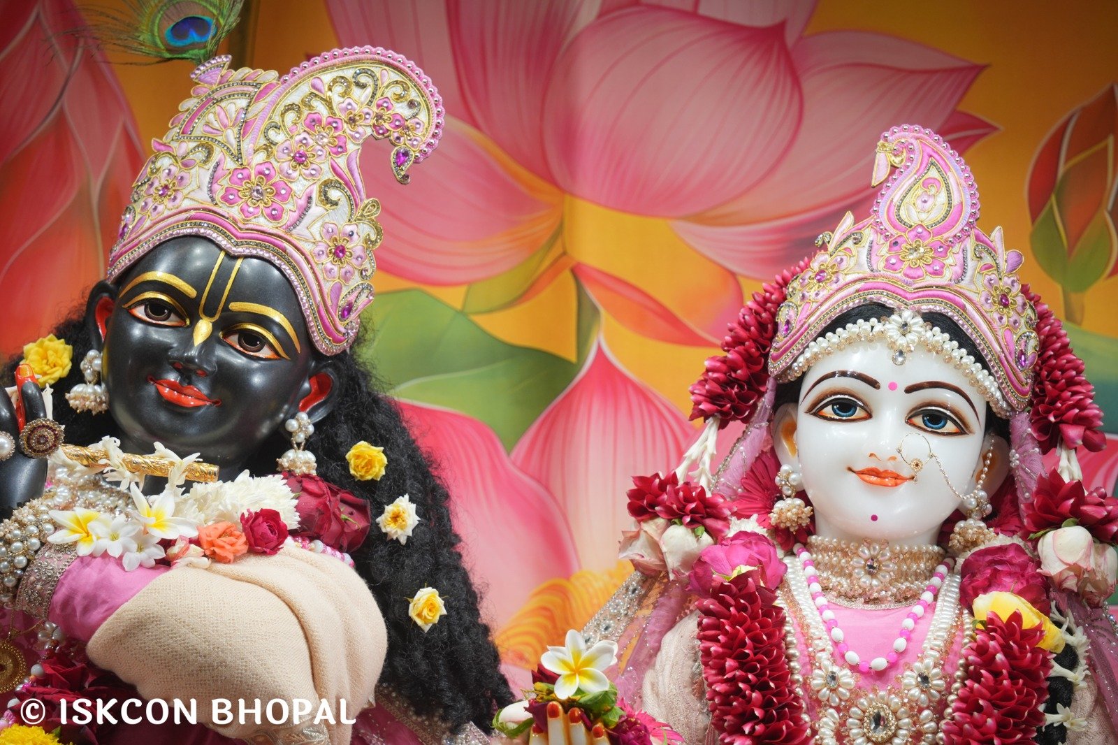 WhatsApp Image 2025-12-25 at 12.20.57 PM