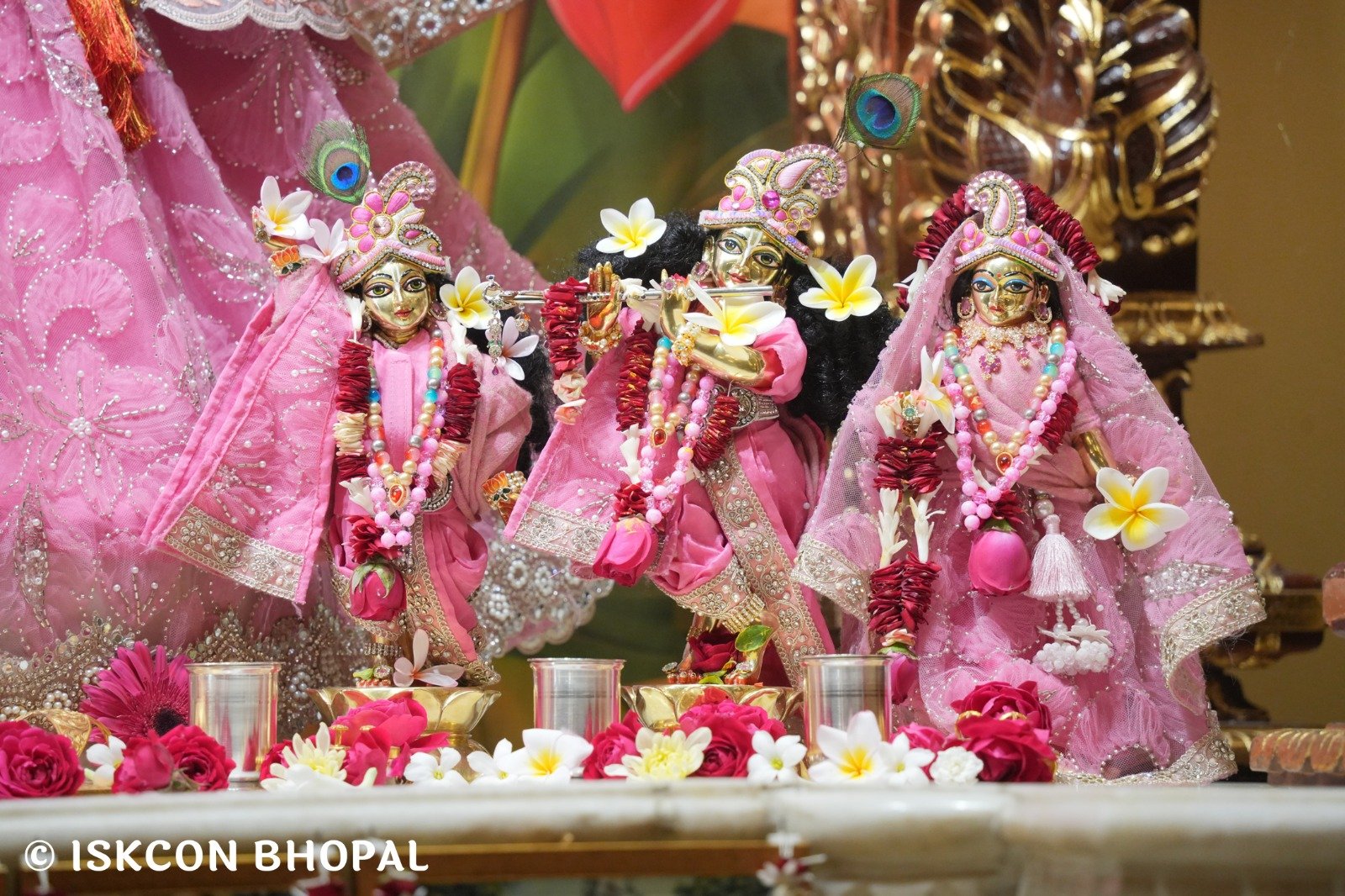 WhatsApp Image 2025-12-25 at 12.20.58 PM (3)