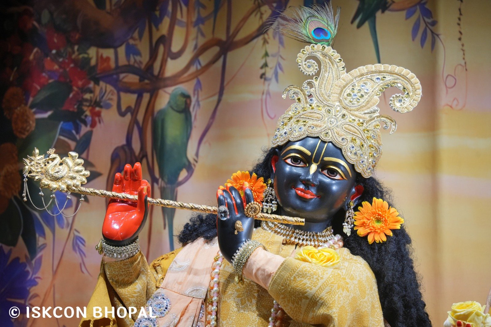 WhatsApp Image 2025-12-25 at 7.11.21 AM